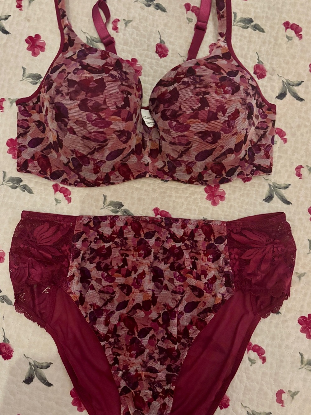 Deesse Lingerie Wine Floral Lace Underwire Bra & Brief Set